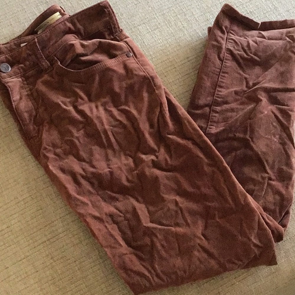 Pilcro Script pant